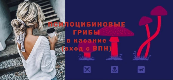 прущий лед Алексин