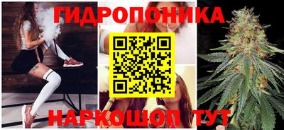 кокс Можайск