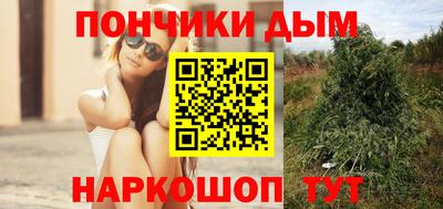 прущие грибы Можга