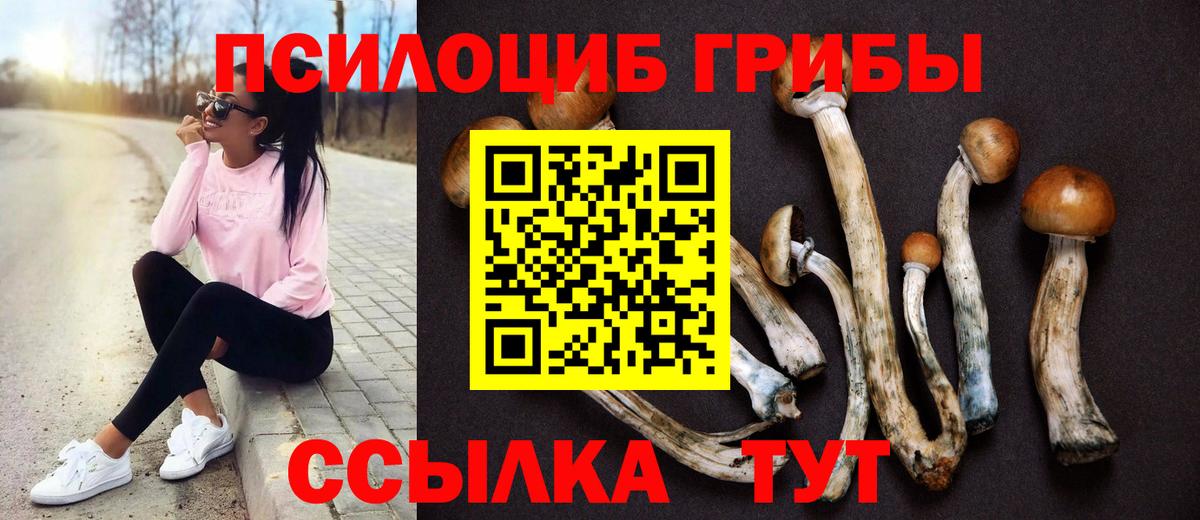 Галлюциногенные грибы мицелий  Галлюциногенные грибы Psilocybe  Урюпинск  Вход с VPN 